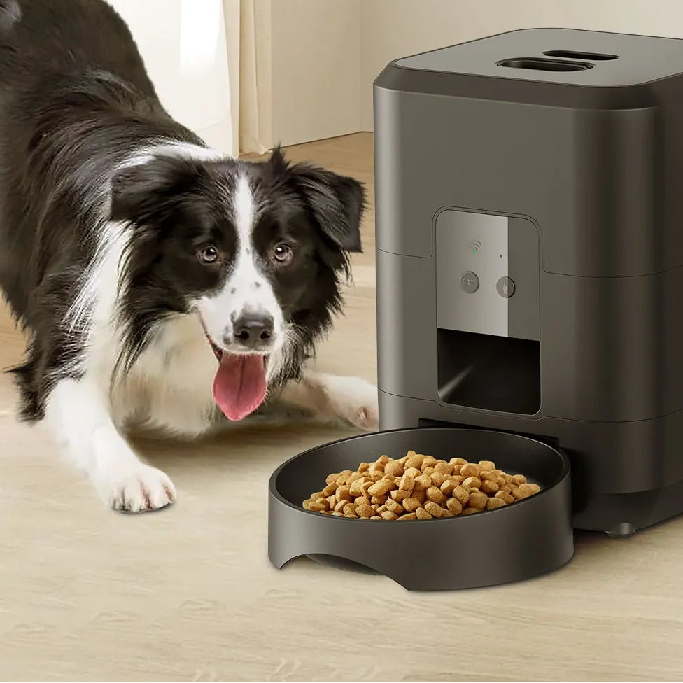 Set & Forget Smart Automatic Pet Feeder