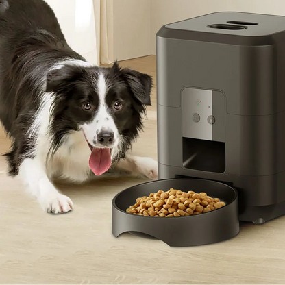 Set & Forget Smart Automatic Pet Feeder